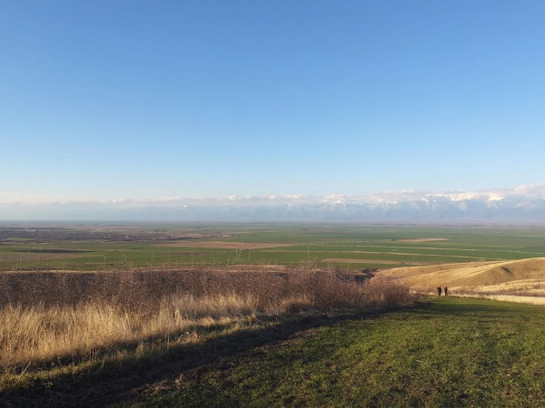 საძოვარი