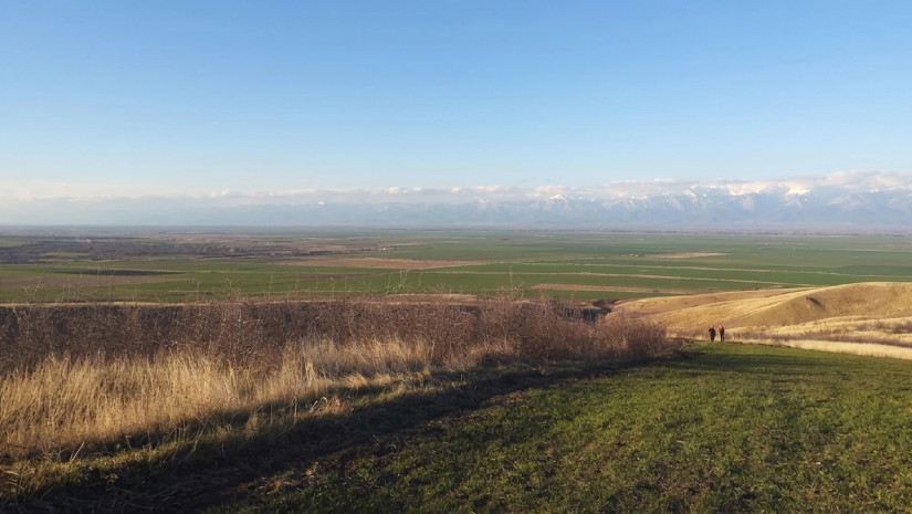 საძოვარი