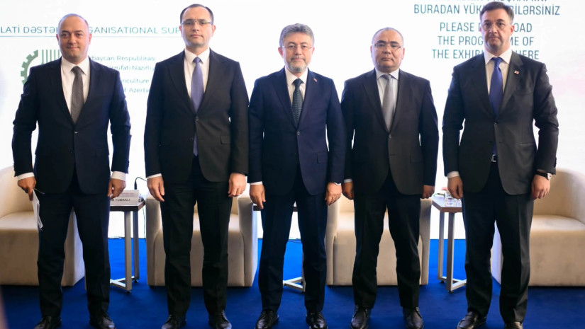 დავით სონღულაშვილი