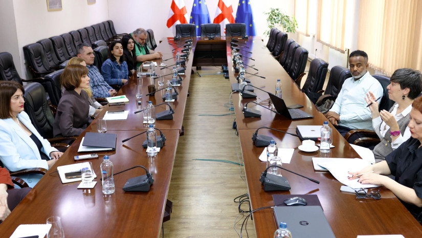 სამუშაო ვიზიტი
