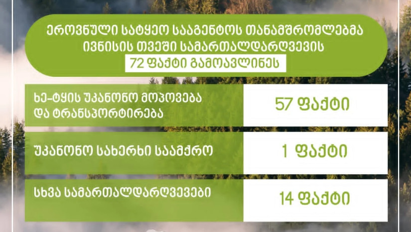 ეროვნული სატყეო სააგენტო