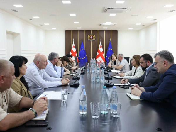 სამუშაო ჯგუფის შეხვედრა 