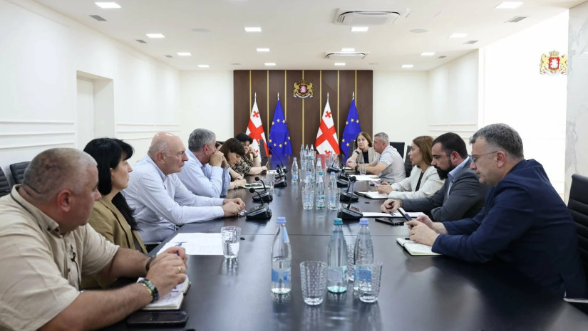 სამუშაო ჯგუფის შეხვედრა 