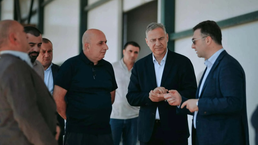 დავით სონღულაშვილი