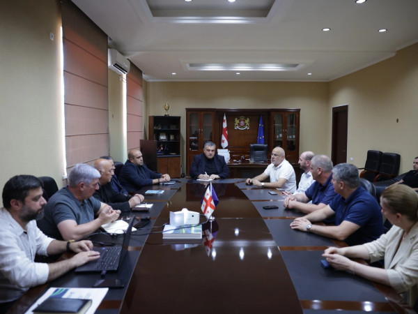 გურჯაანის, თელავისა და ახმეტის მუნიციპალიტეტების მერებს შეხვედრა