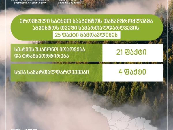 ეროვნული სატყეო სააგენტო