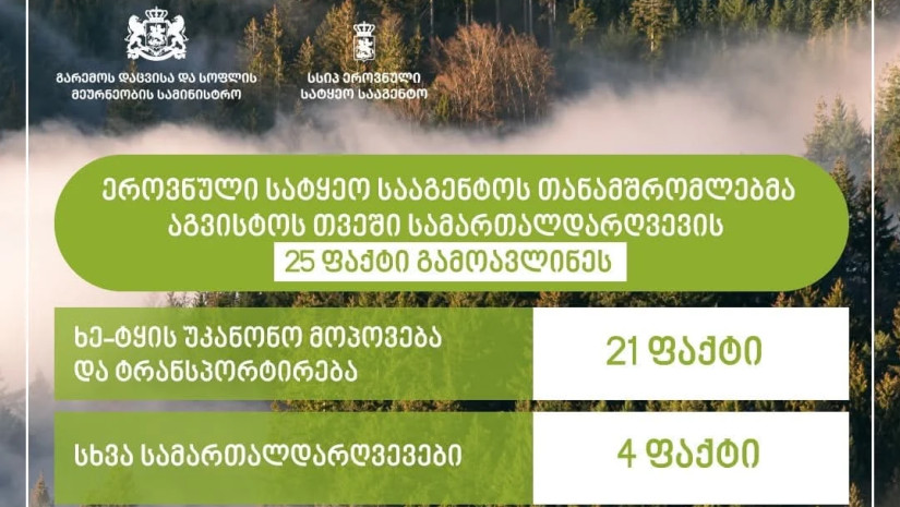 ეროვნული სატყეო სააგენტო