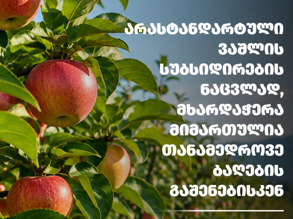 ვაშლის შესყიდვა