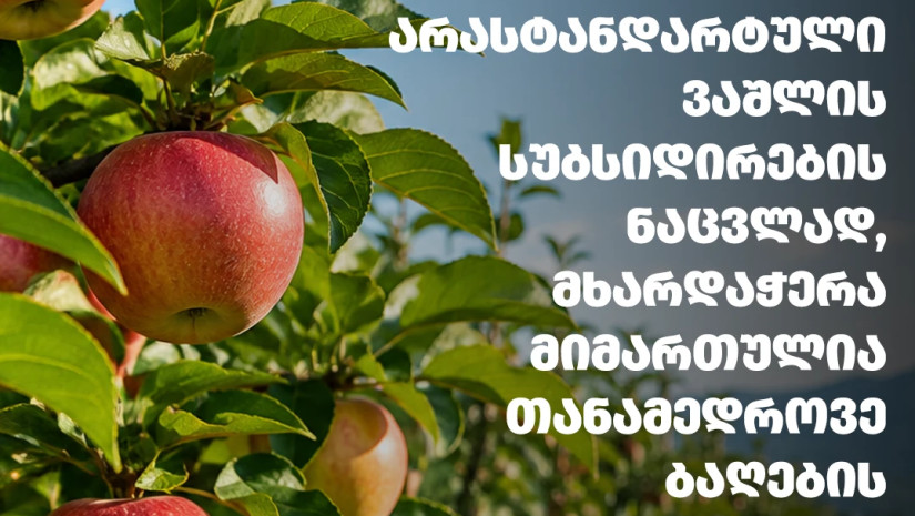 ვაშლის შესყიდვა