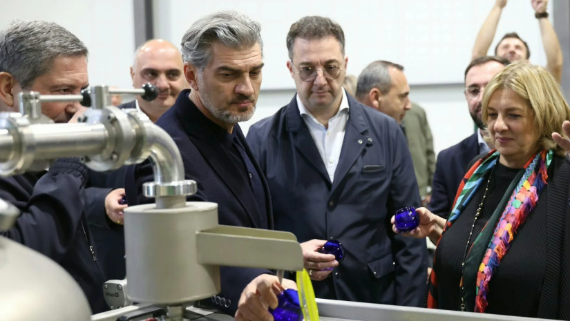 ზეთისხილის რთველი